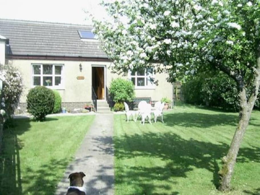 Garden Cottage Helensburgh Buitenkant foto